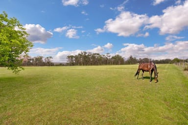 Property 202 Bull Ridge Road, EAST KURRAJONG NSW 2758 IMAGE 0