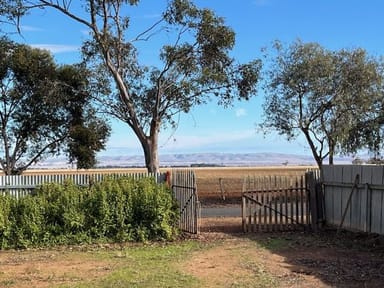 Property Lot 847 William Street, Brinkworth SA 5464 IMAGE 0