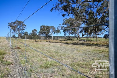 Property 1651 Shannon Vale Road, SHANNON VALE NSW 2370 IMAGE 0