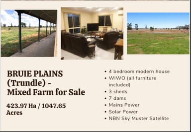 Property 2633 Bruie Plains  Road, Bruie Plains (trundle) NSW 2875 IMAGE 0