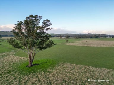 Property 3 McEvoy Street, CASTERTON VIC 3311 IMAGE 0