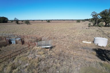 Property 830 Waarbilla Road, BARMEDMAN NSW 2668 IMAGE 0
