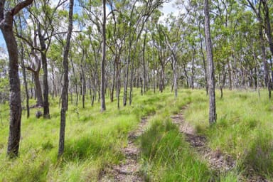 Property Avocado Crescent, Captain Creek  IMAGE 0