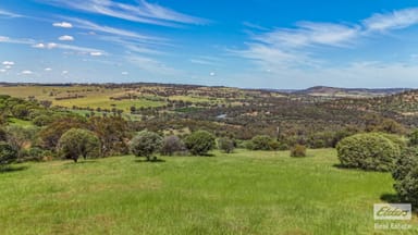 Property 131 Nockdominie Road, Dumbarton WA 6566 IMAGE 0