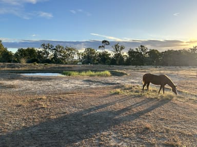 Property 245 Styx Road, OGMORE QLD 4706 IMAGE 0