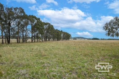 Property 638 Furracabad Road, GLEN INNES NSW 2370 IMAGE 0