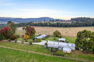 Property 711 Captains Creek Road, Glenburn VIC 3717 IMAGE 0