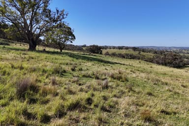 Property 201/174 Beechworth Road, Mudgee NSW 2850 IMAGE 0