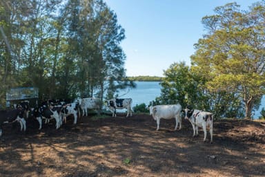 Property 282 Newtons Road, DUMARESQ ISLAND NSW 2430 IMAGE 0