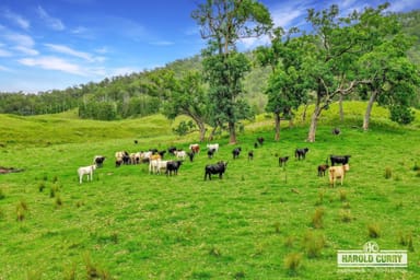 Property 1806 Upper Rocky River Road, TENTERFIELD NSW 2372 IMAGE 0