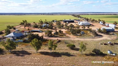 Property . 'Marlow', KOORDA WA 6475 IMAGE 0