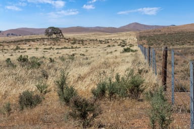 Property Razorback & Kercolo Mount Bryan East Road, Mount Bryan East SA 5419 IMAGE 0