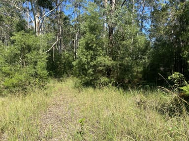 Property 7 Chatham Creek Road, HILLVILLE NSW 2430 IMAGE 0