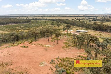 Property 249 Spring Ridge Road, Dunedoo NSW 2844 IMAGE 0