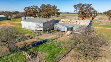 Property 1624 Osborne Yerong Creek Road, Yerong Creek NSW 2642 IMAGE 0