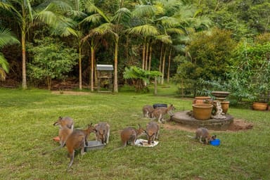 Property 34 Escotts Lane, Martinsville NSW 2264 IMAGE 0