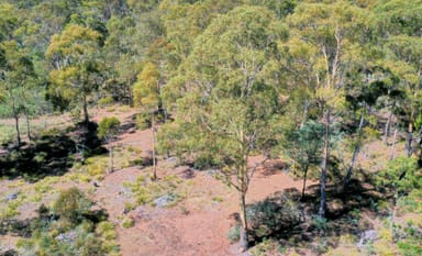 Property 1190 Marked Tree Road, Hollow Tree TAS 7140 IMAGE 0