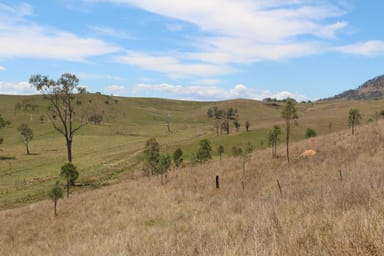 Property KNAPP CREEK QLD 4285 IMAGE 0