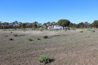 Property 198 Dowerin-Meckering Rd Road, MECKERING WA 6405 IMAGE 0