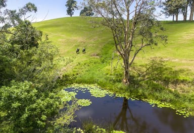 Property Lot 1, 103 Soldier Settlers Road, Newee Creek NSW 2447 IMAGE 0