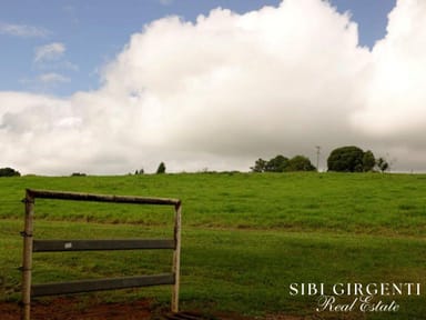 Property 1297 Mt Molloy Street, Mossman QLD 4873 IMAGE 0