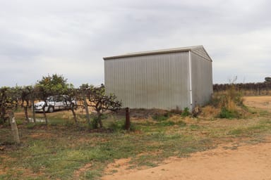 Property Lot 22 Brand Road, COBDOGLA SA 5346 IMAGE 0