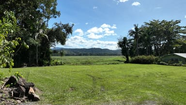 Property Lot 3 Stewart Creek Road, Daintree QLD 4873 IMAGE 0