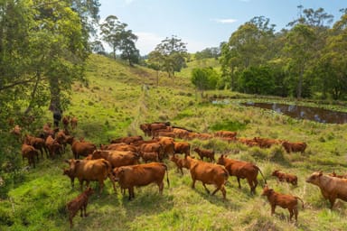 Property 1562-1620 NORTH ARM ROAD, ARGENTS HILL NSW 2449 IMAGE 0