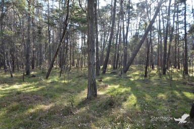 Property 121, Reserve Road, Sugarloaf QLD 4380 IMAGE 0