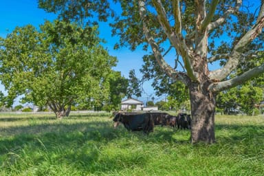 Property GLADSTONE NSW 2440 IMAGE 0