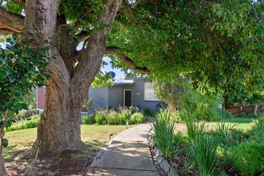 Property 78 West Park Grove, Park Grove TAS 7320 IMAGE 0