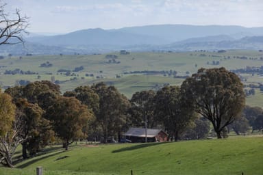 Property 224 Purcells Road, Merrijig  IMAGE 0