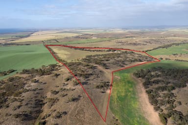 Property Lots 99 & Bawdens Road, Lipson SA 5607 IMAGE 0