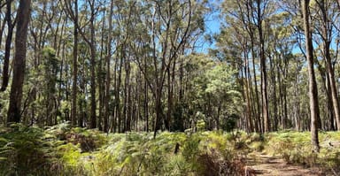 Property 18 Golden Point Road, Trentham VIC 3458 IMAGE 0