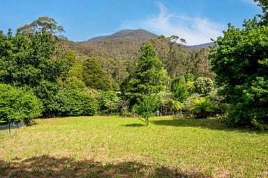 Property 20 Donna Buang Road, WARBURTON VIC 3799 IMAGE 0