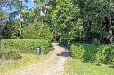 Property 29-31 Lahey Road, Tamborine Mountain QLD 4272 IMAGE 0