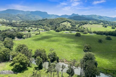 Property 981 Numinbah Road, Crystal Creek NSW 2484 IMAGE 0
