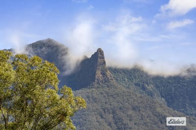 Property 1626 Byrrill Creek Road, Brays Creek NSW 2484 IMAGE 0