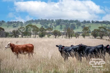 Property 638 Furracabad Road, GLEN INNES NSW 2370 IMAGE 0