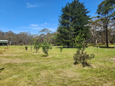 Property 51 Long Flat Lane, MAJORS CREEK NSW 2622 IMAGE 0