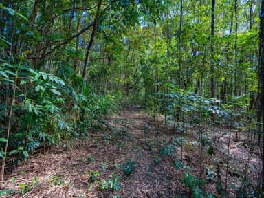 Property 7, Lot 7 Discovery Drive, Kuranda QLD 4881 IMAGE 0