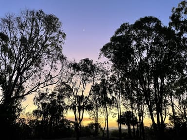 Property Lot 11 Wright Road, GRASSTREE BEACH QLD 4740 IMAGE 0