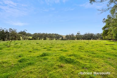 Property 1 Doreys Road, SCOTTS CREEK VIC 3267 IMAGE 0