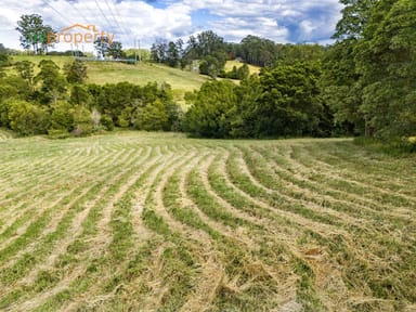 Property Lot 5 -14 Irvines  Road, Newee Creek NSW 2447 IMAGE 0