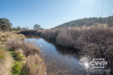 Property 1651 Shannon Vale Road, SHANNON VALE NSW 2370 IMAGE 0