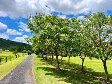 Property 20 Park Drive, SANDY CREEK QLD 4515 IMAGE 0