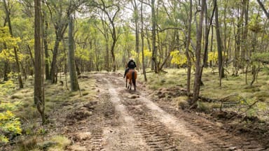 Property . Firebrace Track, Bullioh VIC 3700 IMAGE 0