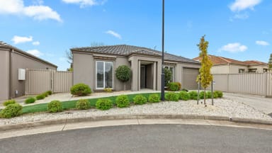 Property 17 Brighton Court, Wendouree VIC 3355 IMAGE 0