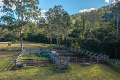 Property Jasper Creek Road, MOUNT SEAVIEW NSW 2446 IMAGE 0