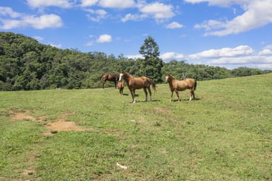 Property 766 Urliup Road, URLIUP NSW 2484 IMAGE 0